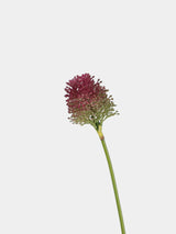 Artificial Mini Allium – Wild Onion Flower Stem  16"