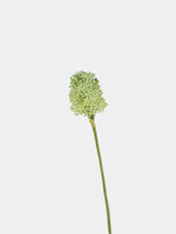 Artificial Mini Allium – Wild Onion Flower Stem  16"