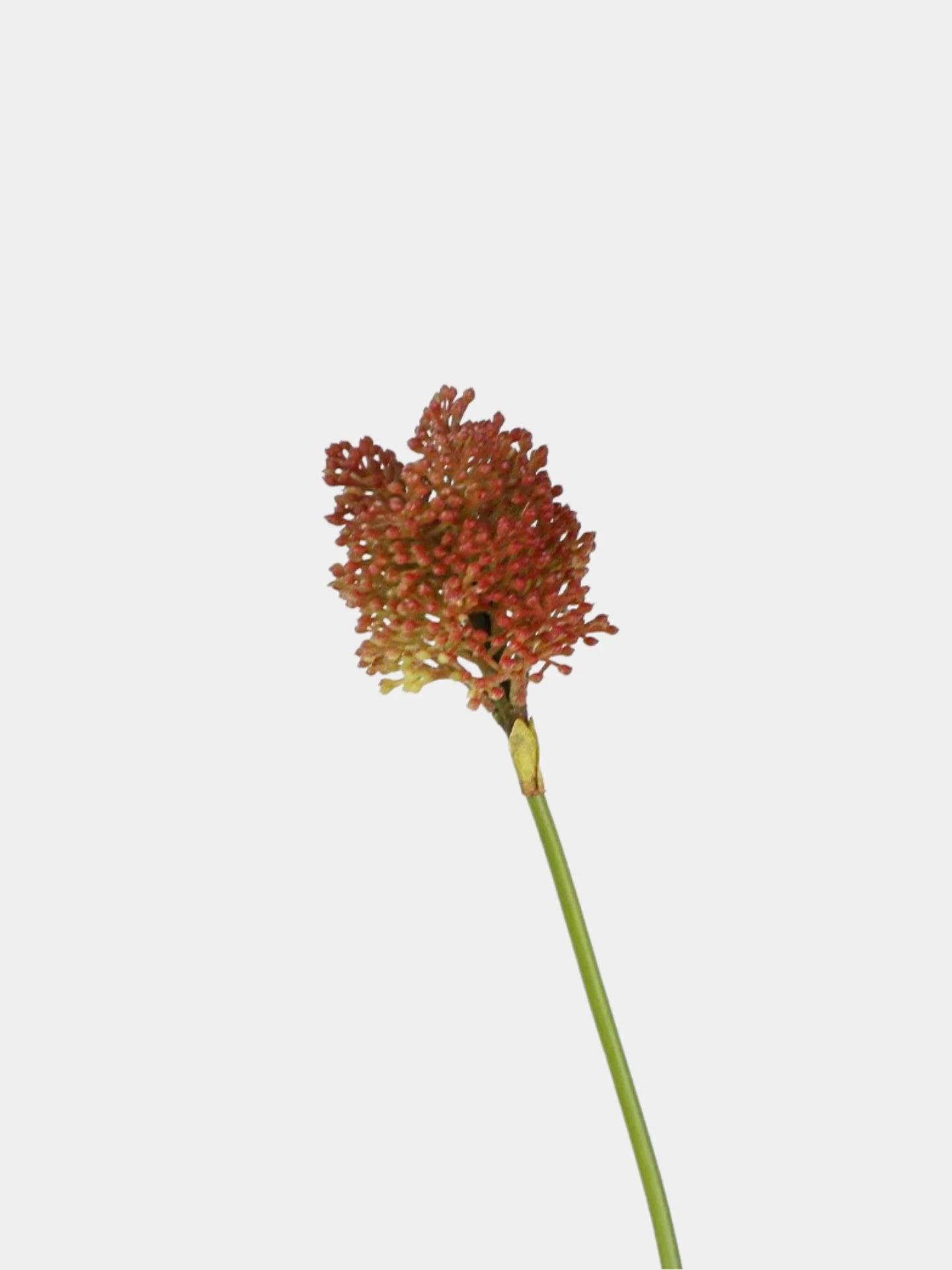 Artificial Mini Allium – Wild Onion Flower Stem  16"
