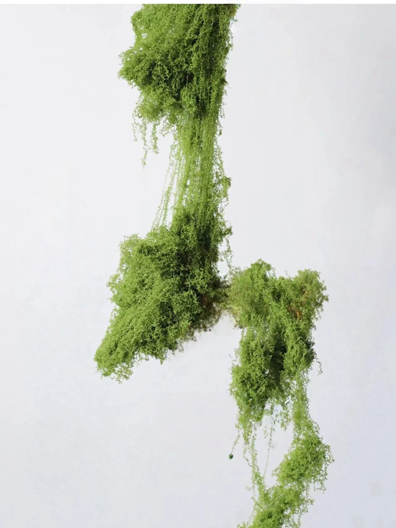 人工苔 – リアルなフェイクモス