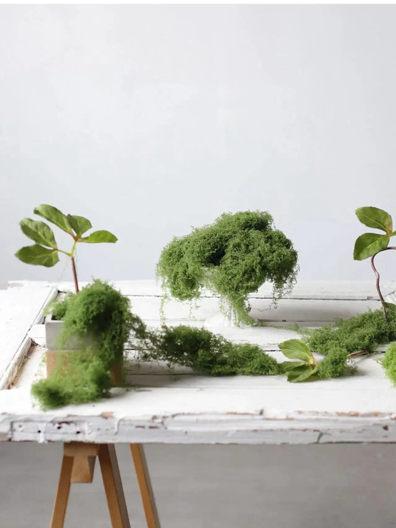 人工苔 – リアルなフェイクモス