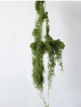 人工苔 – リアルなフェイクモス