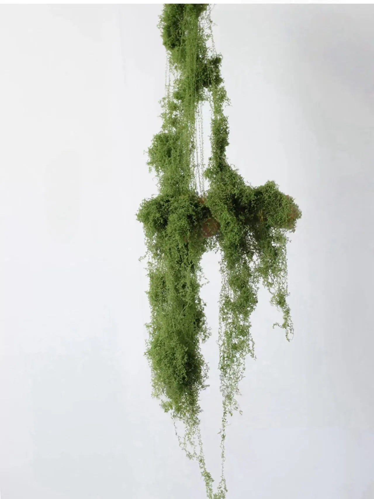 人工苔 – リアルなフェイクモス