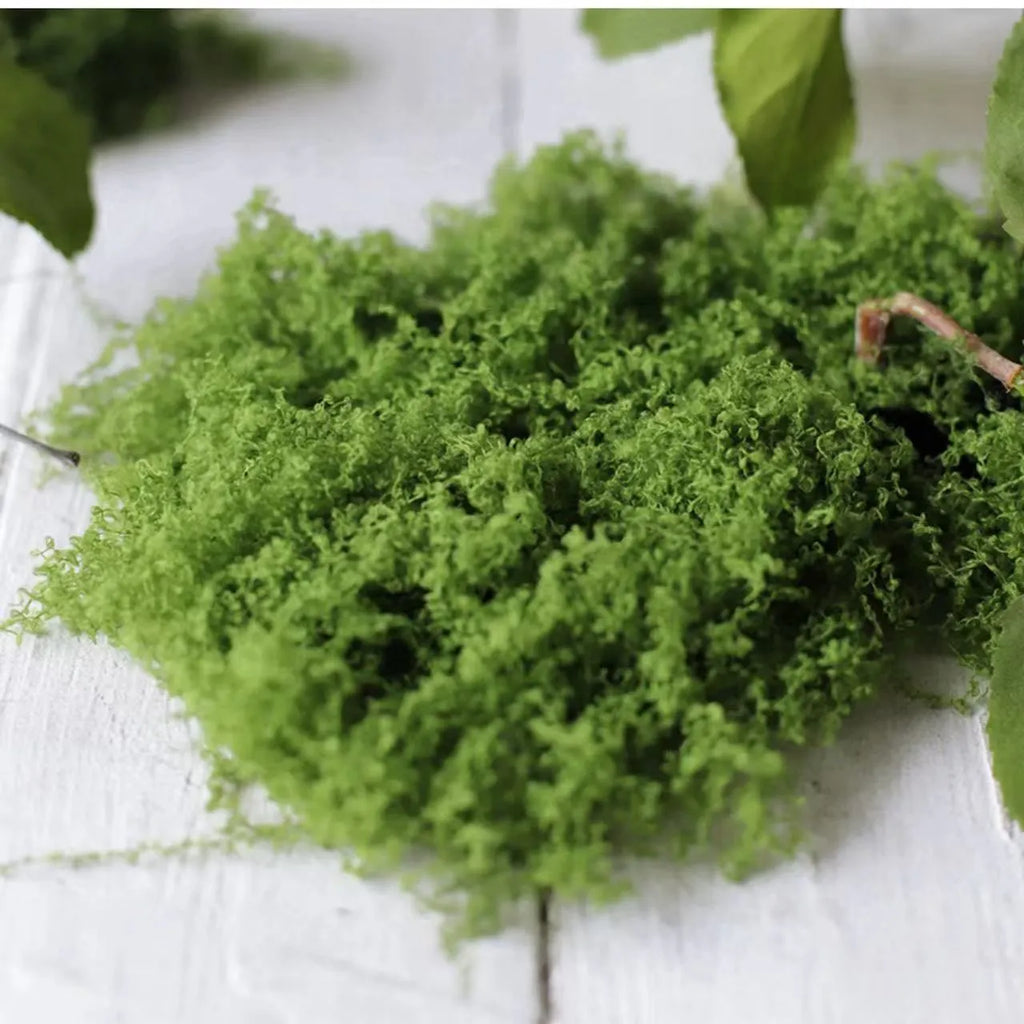 Artificial Moss – Realistic Faux Moss