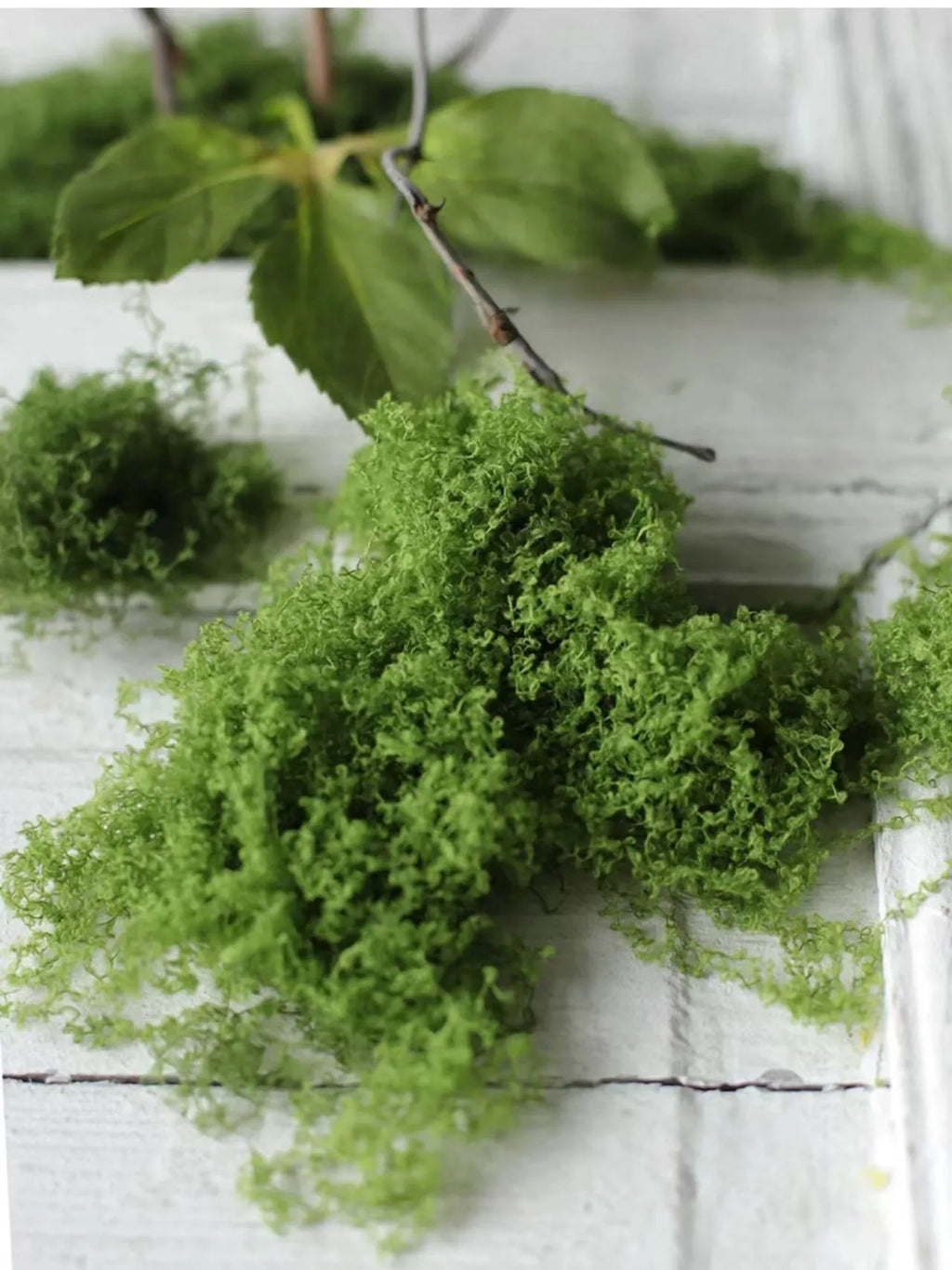 Artificial Moss – Realistic Faux Moss