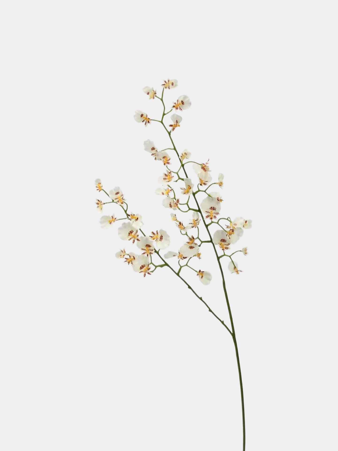 Artificial Oncidium Spray –31.5"