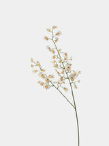 Artificial Oncidium Spray –31.5"
