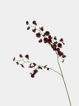 Artificial Oncidium Spray –31.5"
