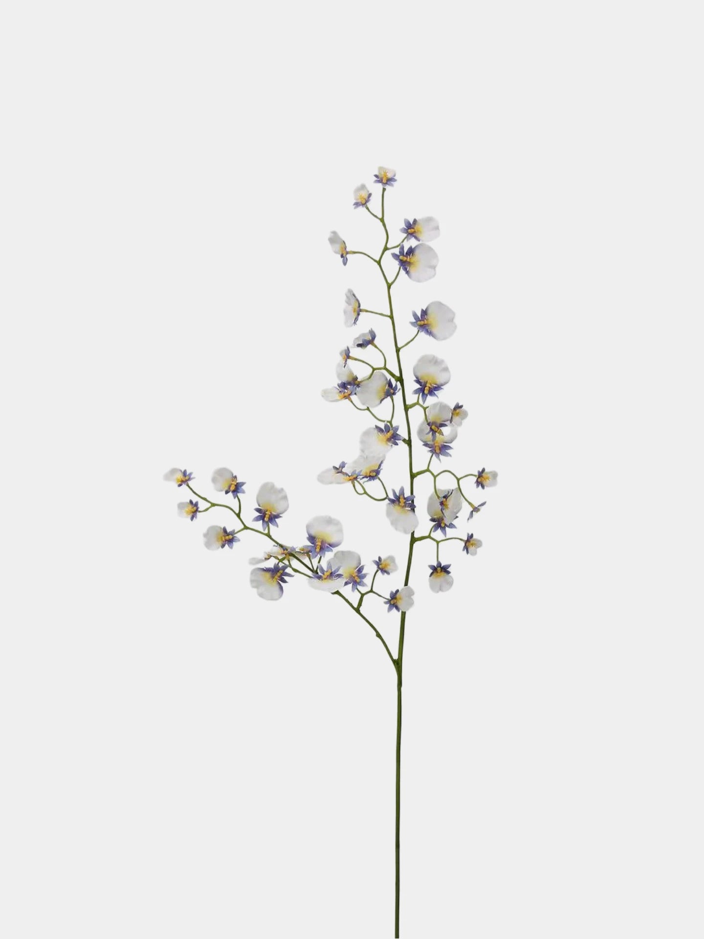 Artificial Oncidium Spray –31.5"