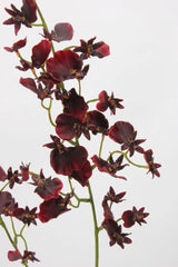 Artificial Oncidium Spray –31.5"