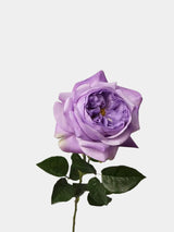 人工リアルタッチジュリエットローズ —27インチバイオレット