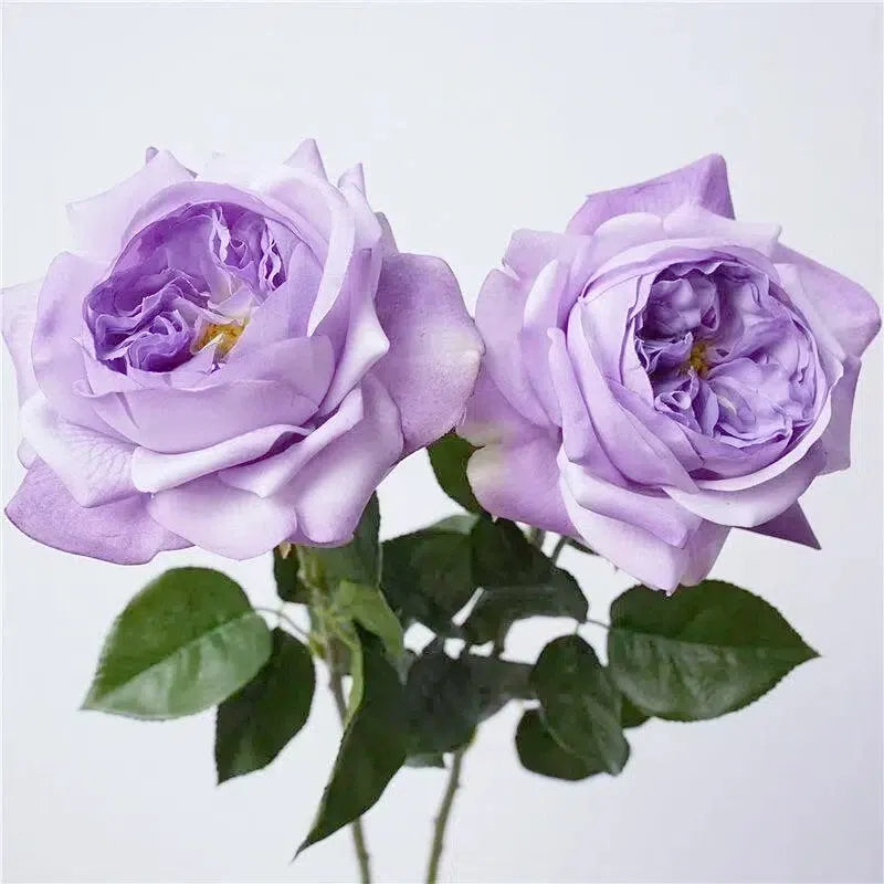 人工リアルタッチジュリエットローズ —27インチバイオレット