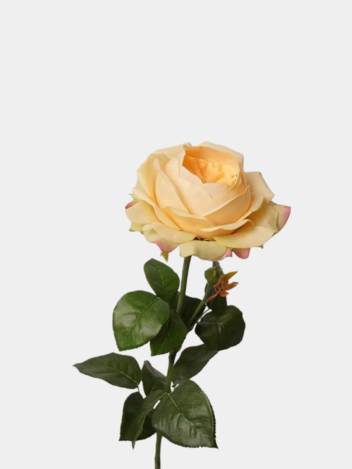 人工リアルタッチジュリエットローズ —27インチ イエロー