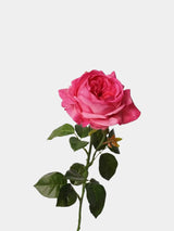 人工リアルタッチジュリエットローズ — 27インチ ローズレッド