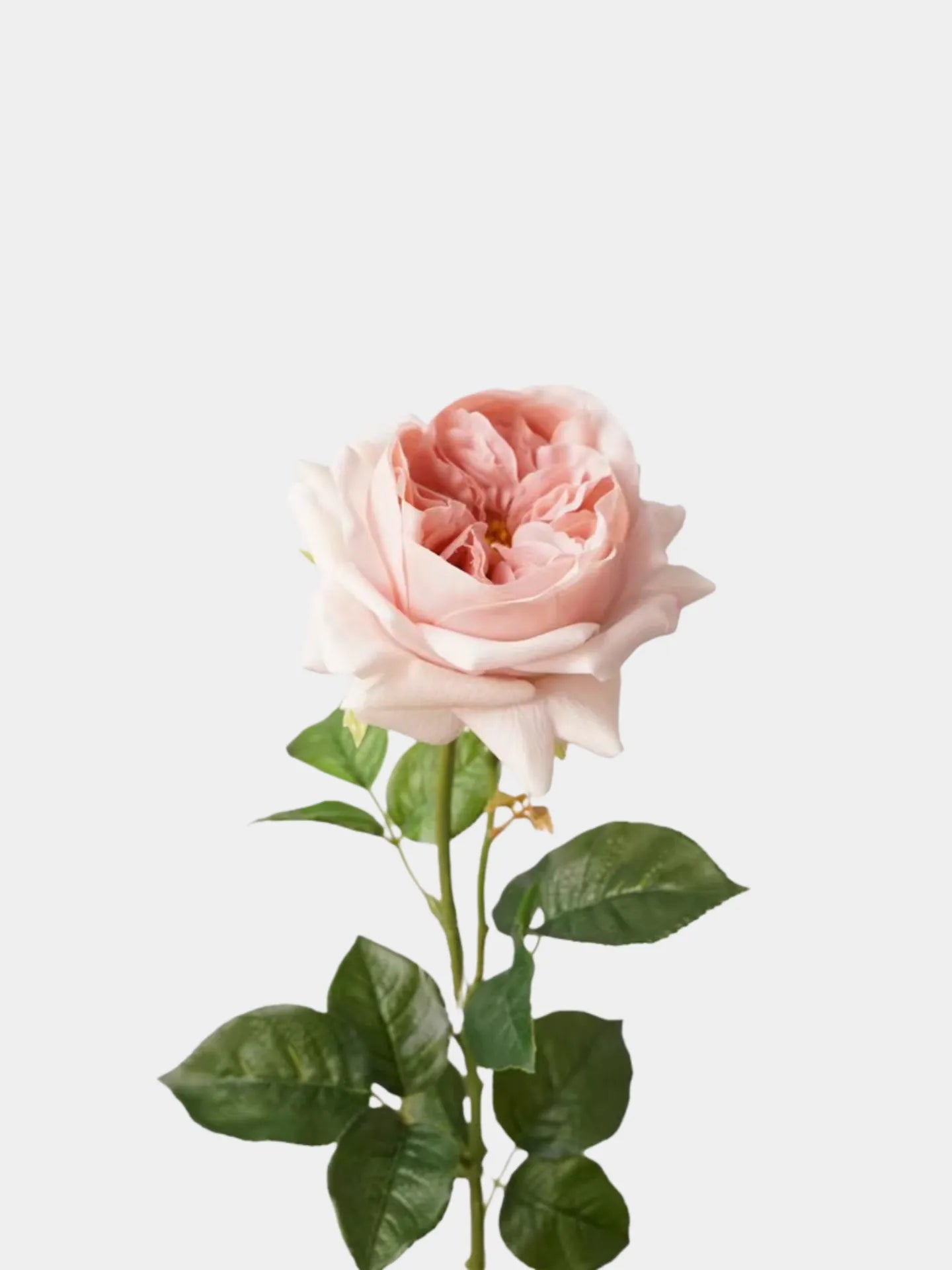 人工リアルタッチジュリエットローズ —27インチ ヌードピンク