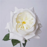 人工リアルタッチジュリエットローズ —27インチ ホワイト