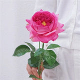 人工リアルタッチジュリエットローズ — 27インチ ローズレッド