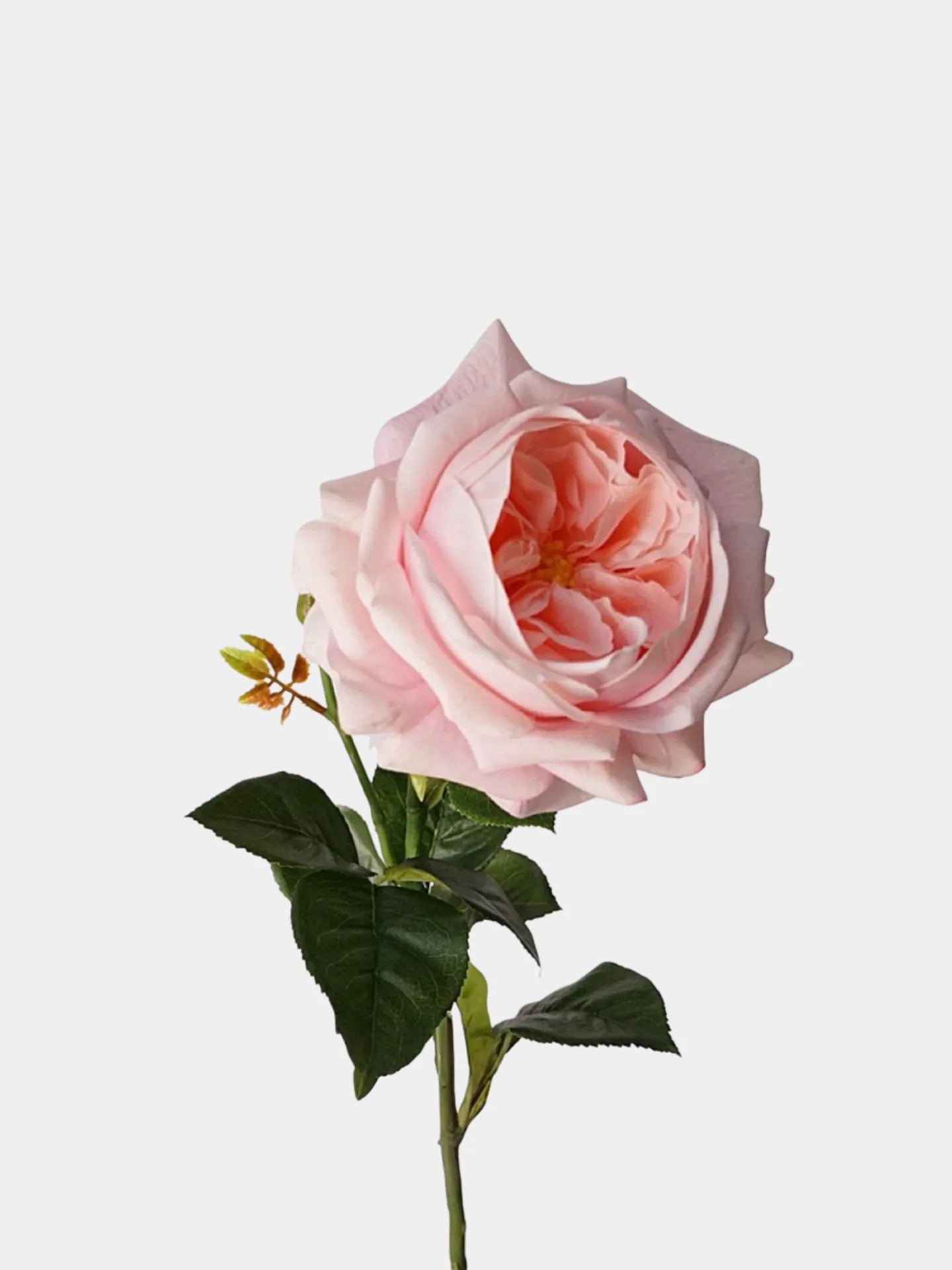 人工リアルタッチジュリエットローズ —27インチ ピンク