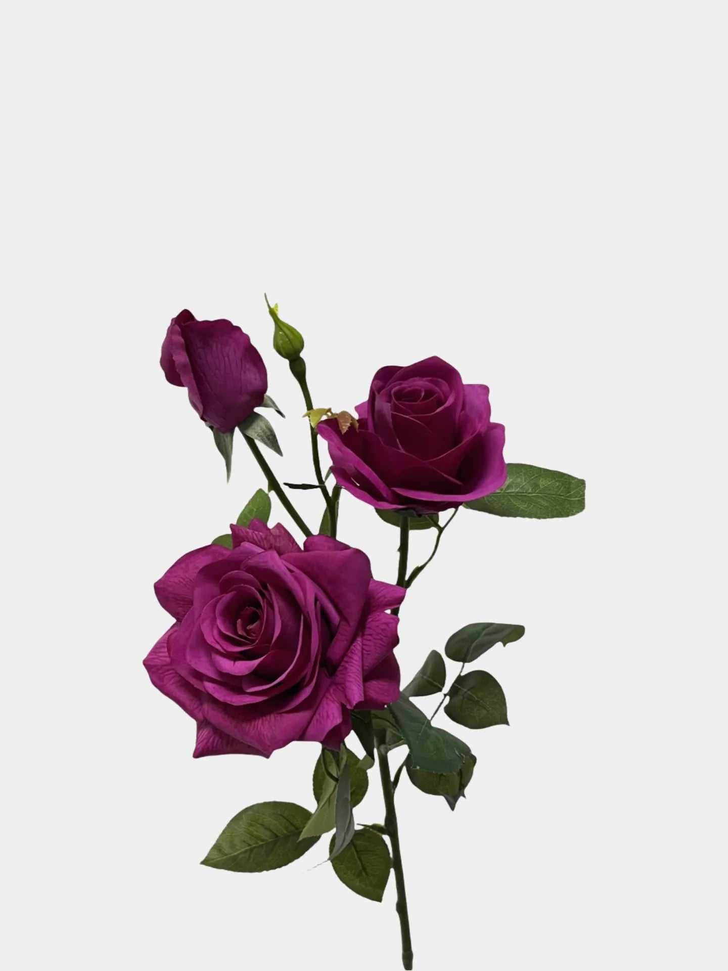 フェイクフラワー リアルタッチフラワー 白いバラ - 30インチのトリプルブロームと花蕾付き 