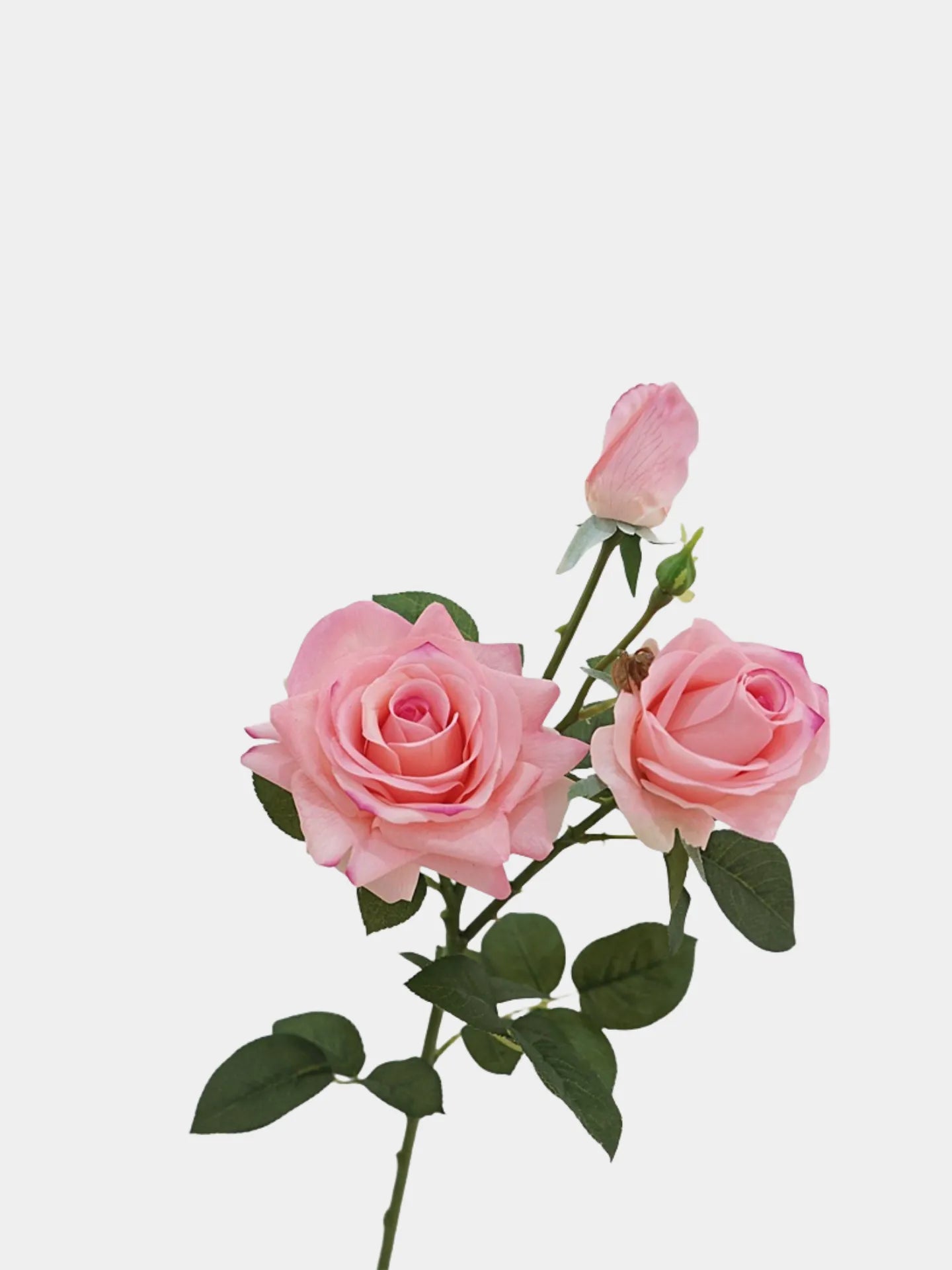 フェイクフラワー リアルタッチフラワー 白いバラ - 30インチのトリプルブロームと花蕾付き 