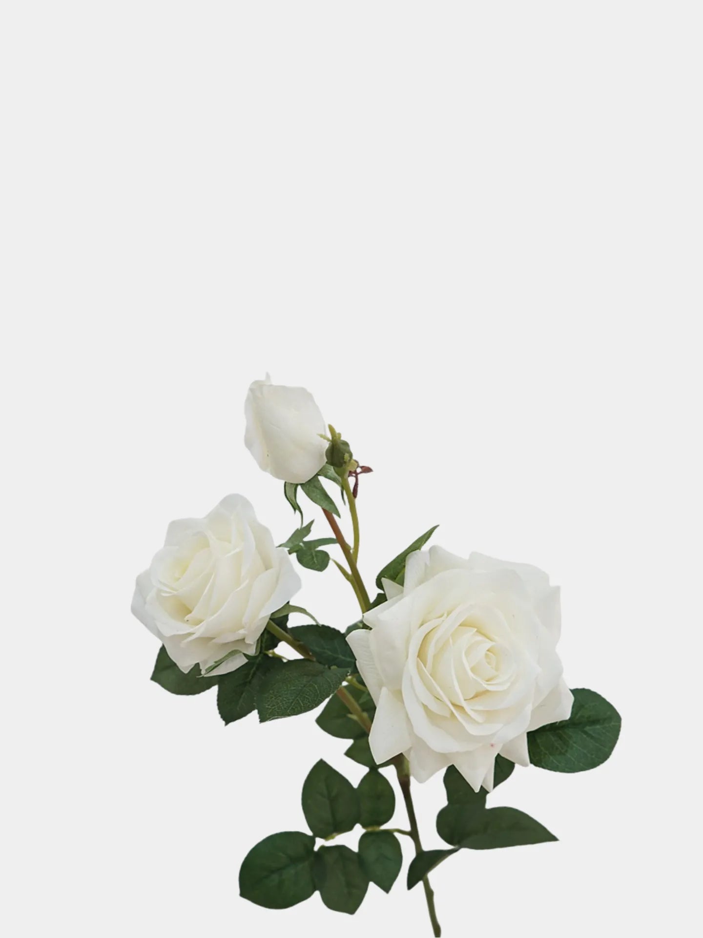 フェイクフラワー リアルタッチフラワー 白いバラ - 30インチのトリプルブロームと花蕾付き 