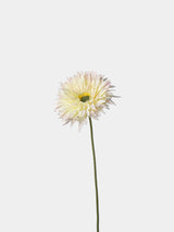 Artificial Shaggy Gerbera Daisy Flower  – 18"