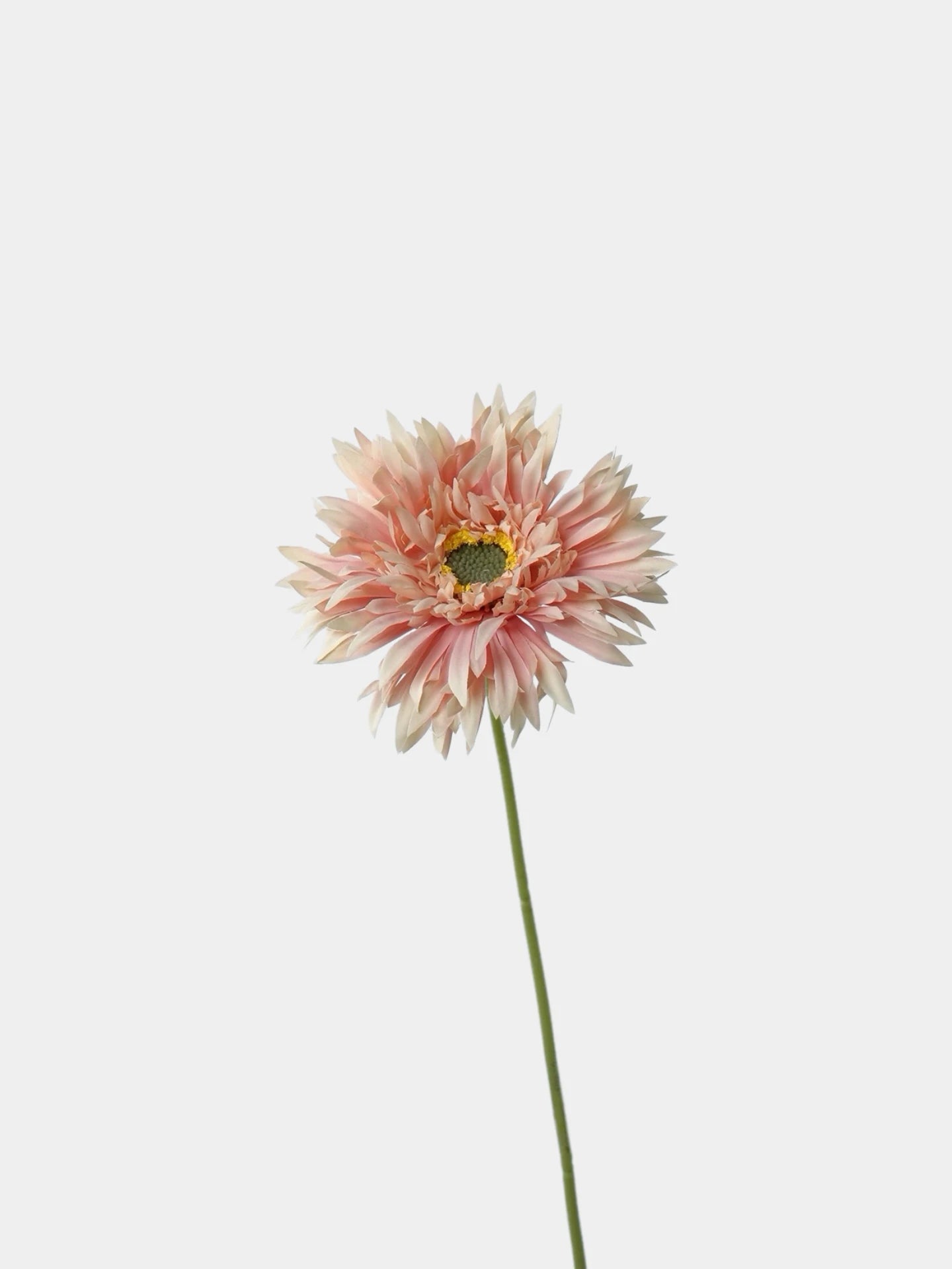 Artificial Shaggy Gerbera Daisy Flower  – 18"