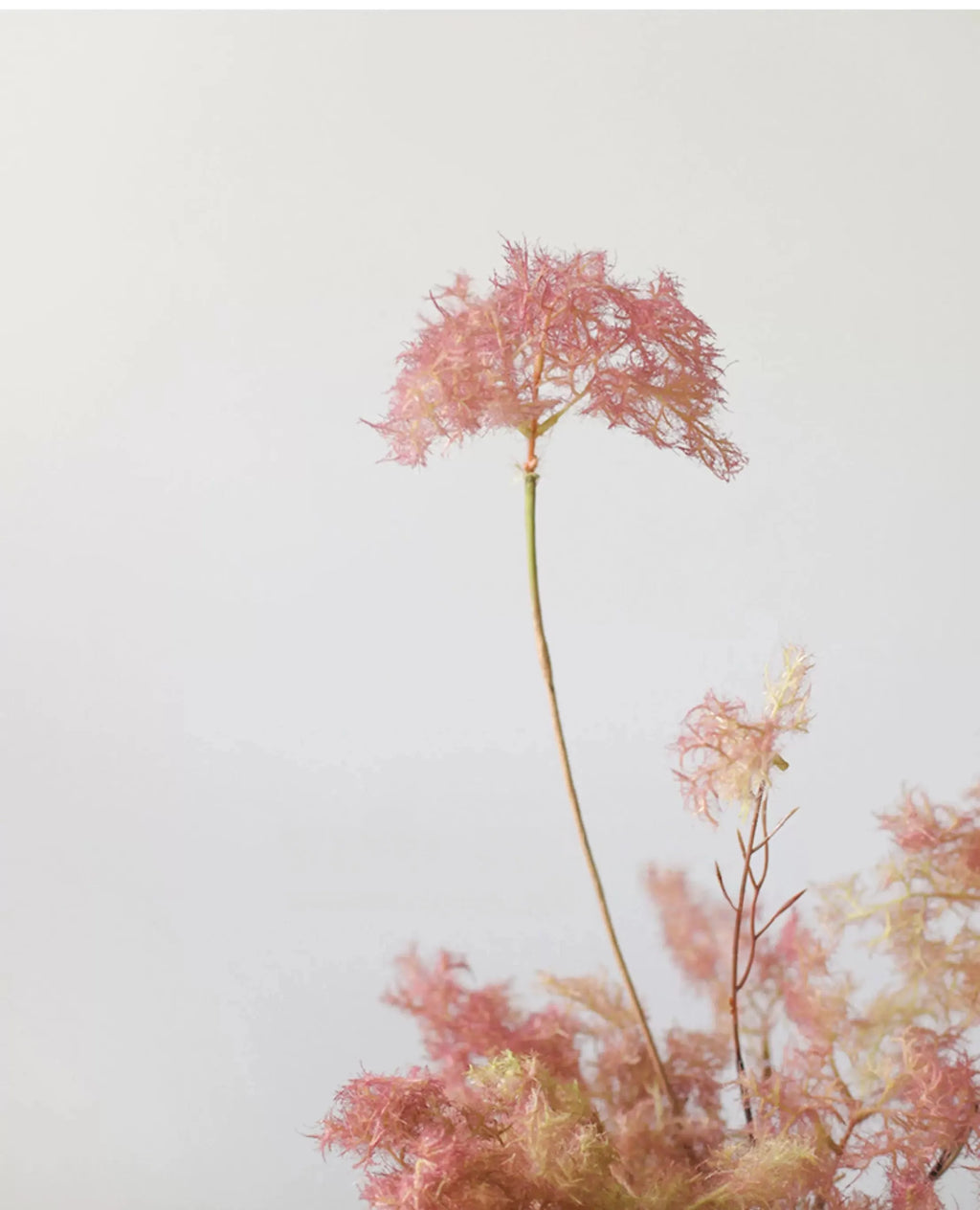 Artificial Smoke Bush Spray