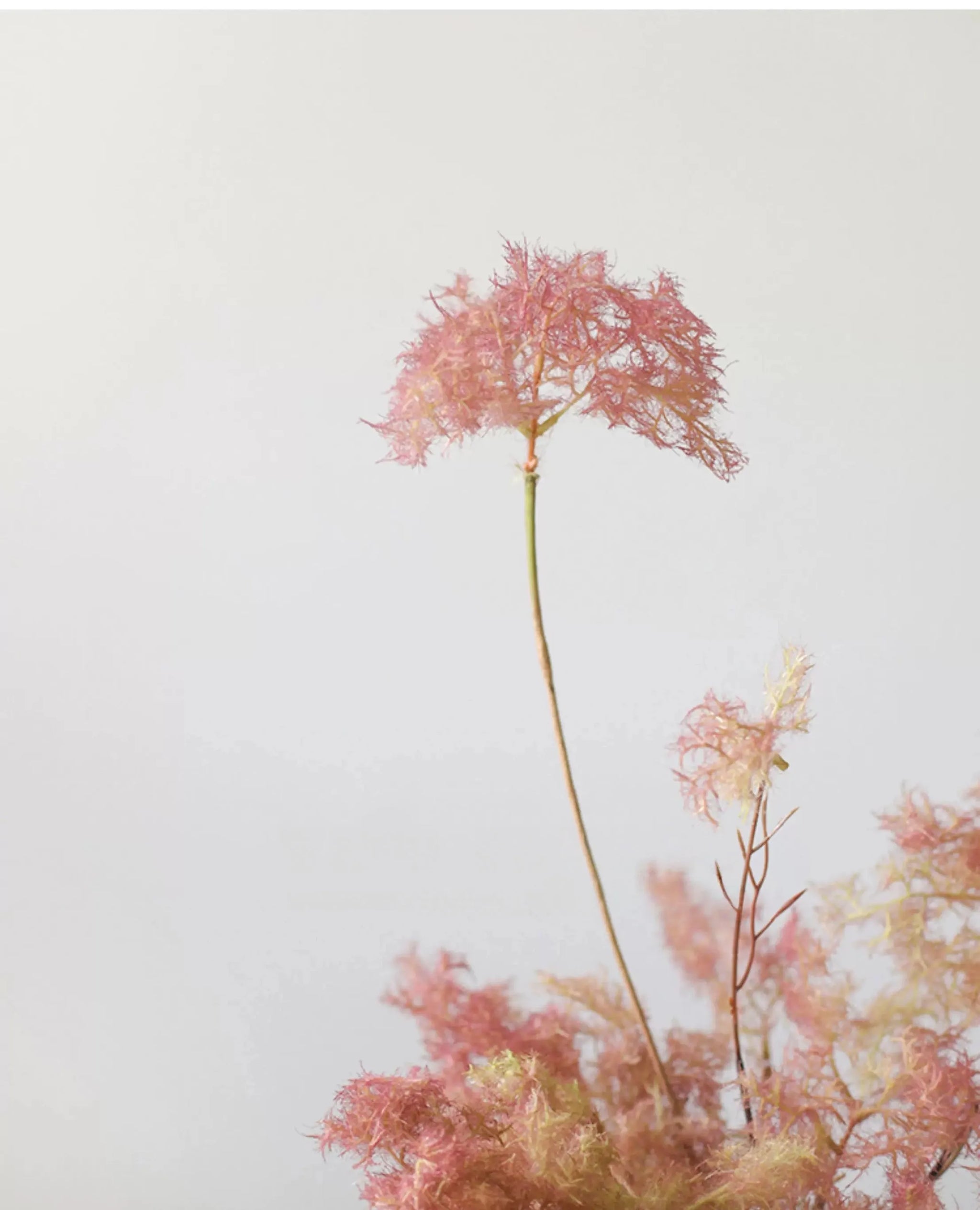 人工煙のブッシュスプレー