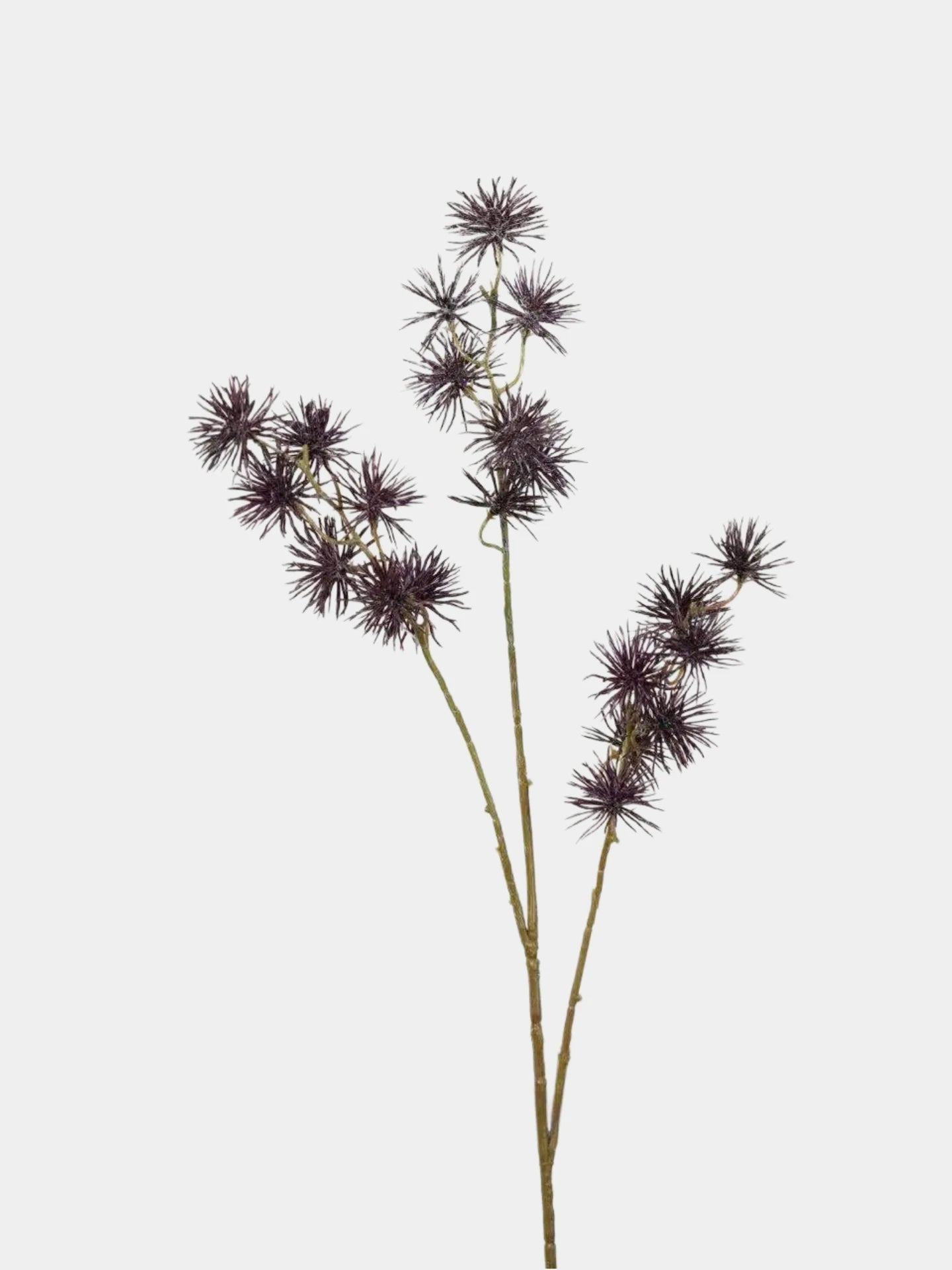 Artificial Spiky Seed Pod Stem – 70cm