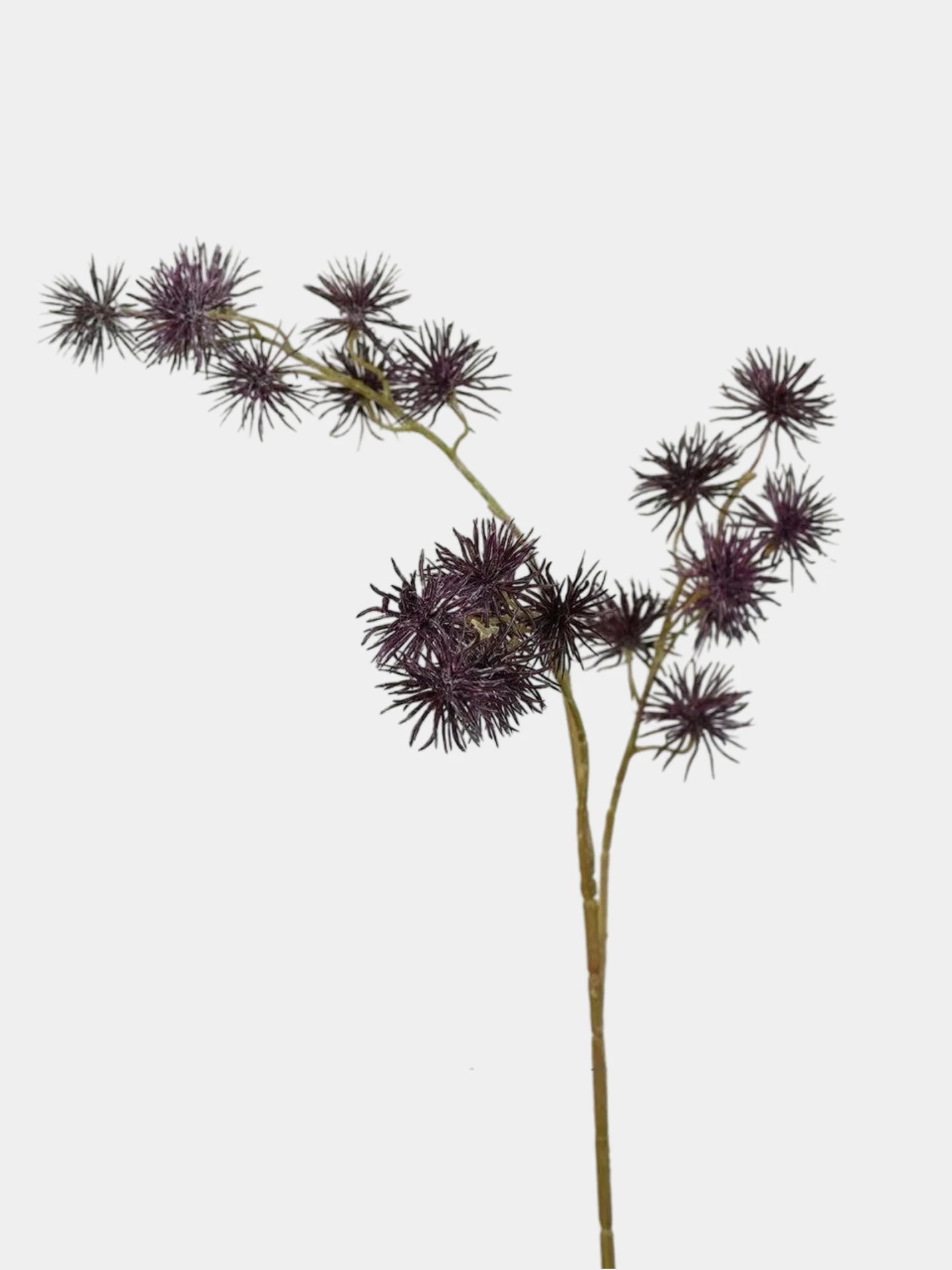 Artificial Spiky Seed Pod Stem – 70cm