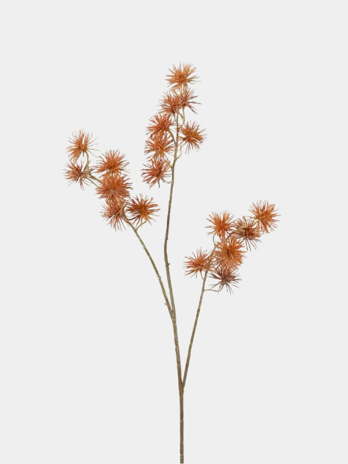 Artificial Spiky Seed Pod Stem – 70cm