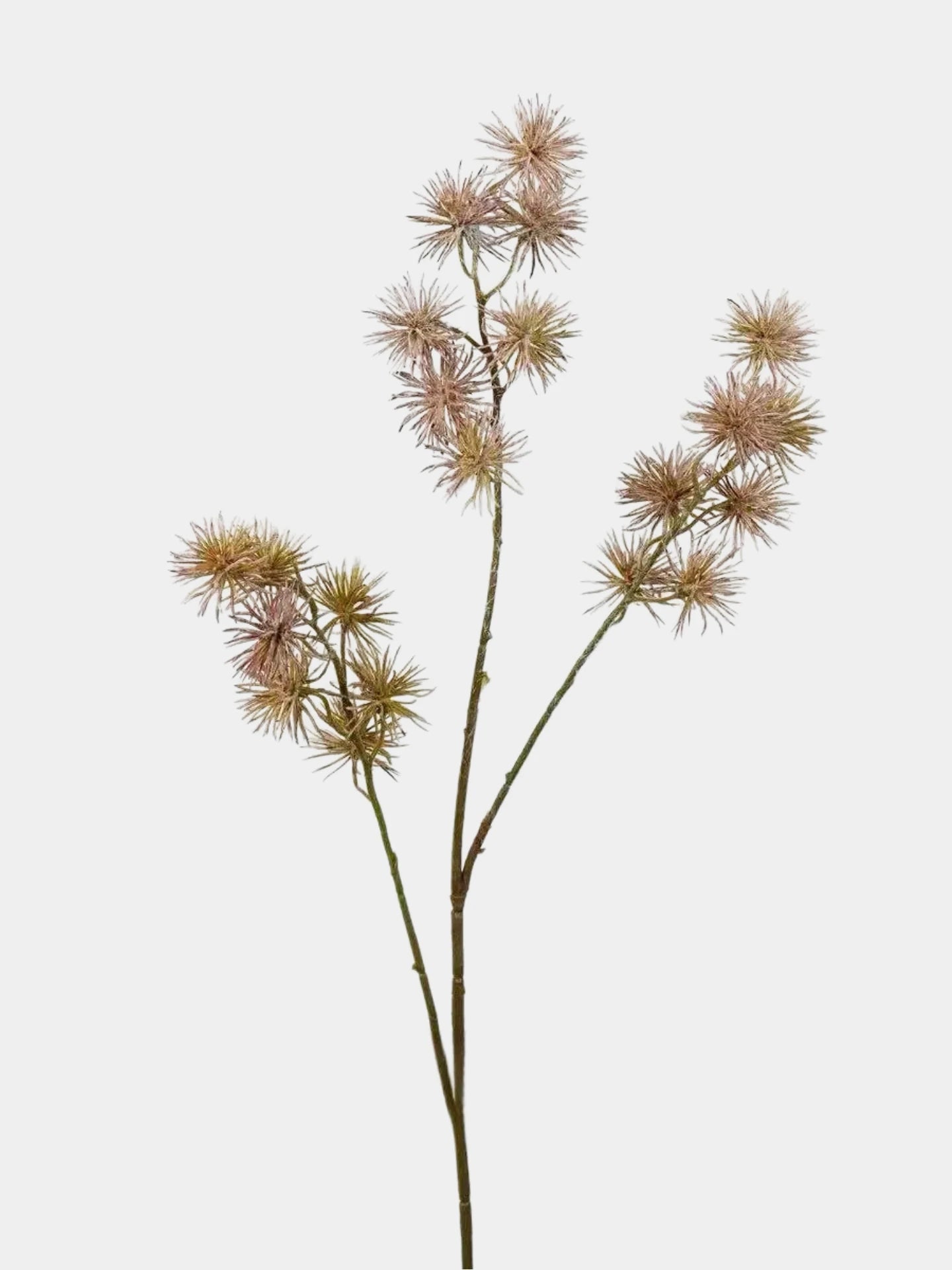 Artificial Spiky Seed Pod Stem – 70cm