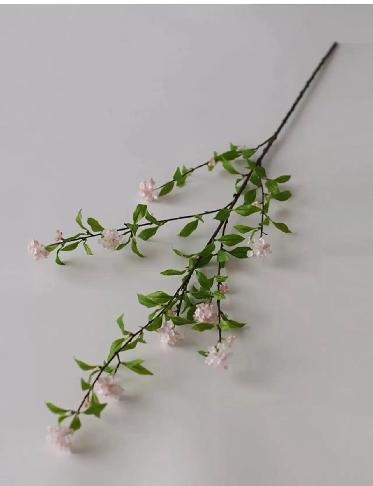 人工スピラエアの枝 -43"