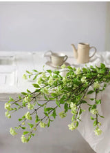 人工スピラエアの枝 -43"