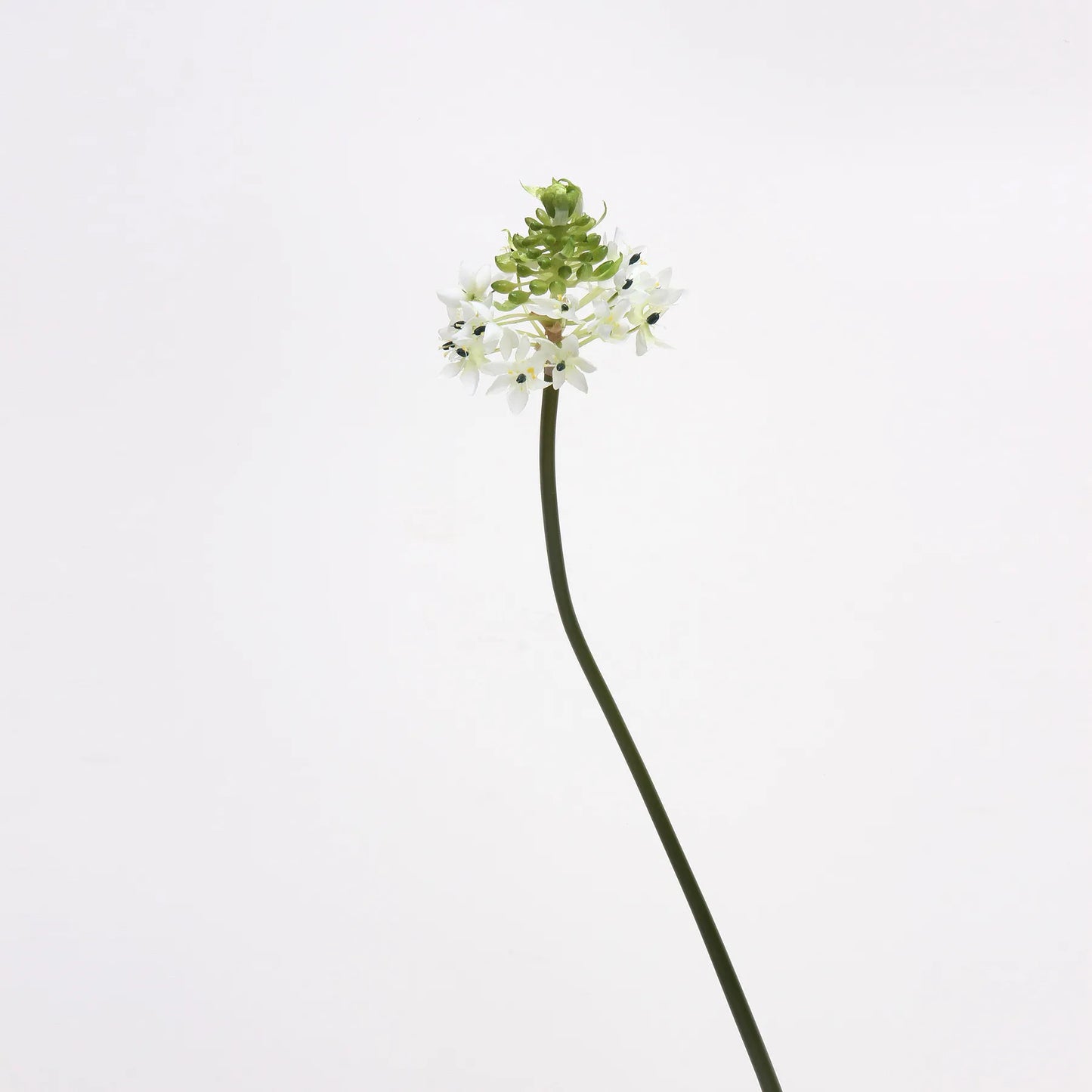 Künstliche Stern von Bethlehem Blume