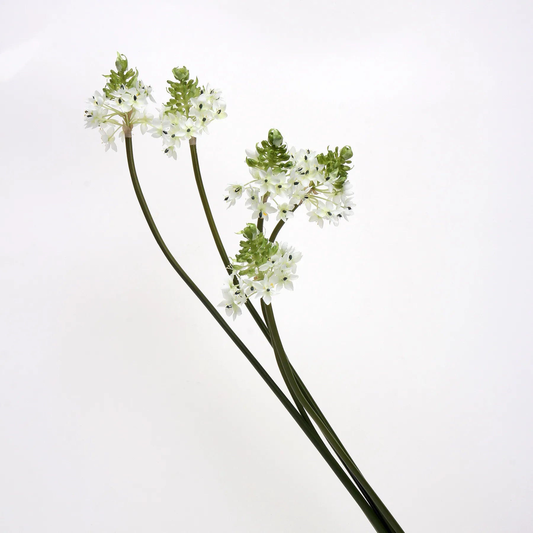 Künstliche Stern von Bethlehem Blume