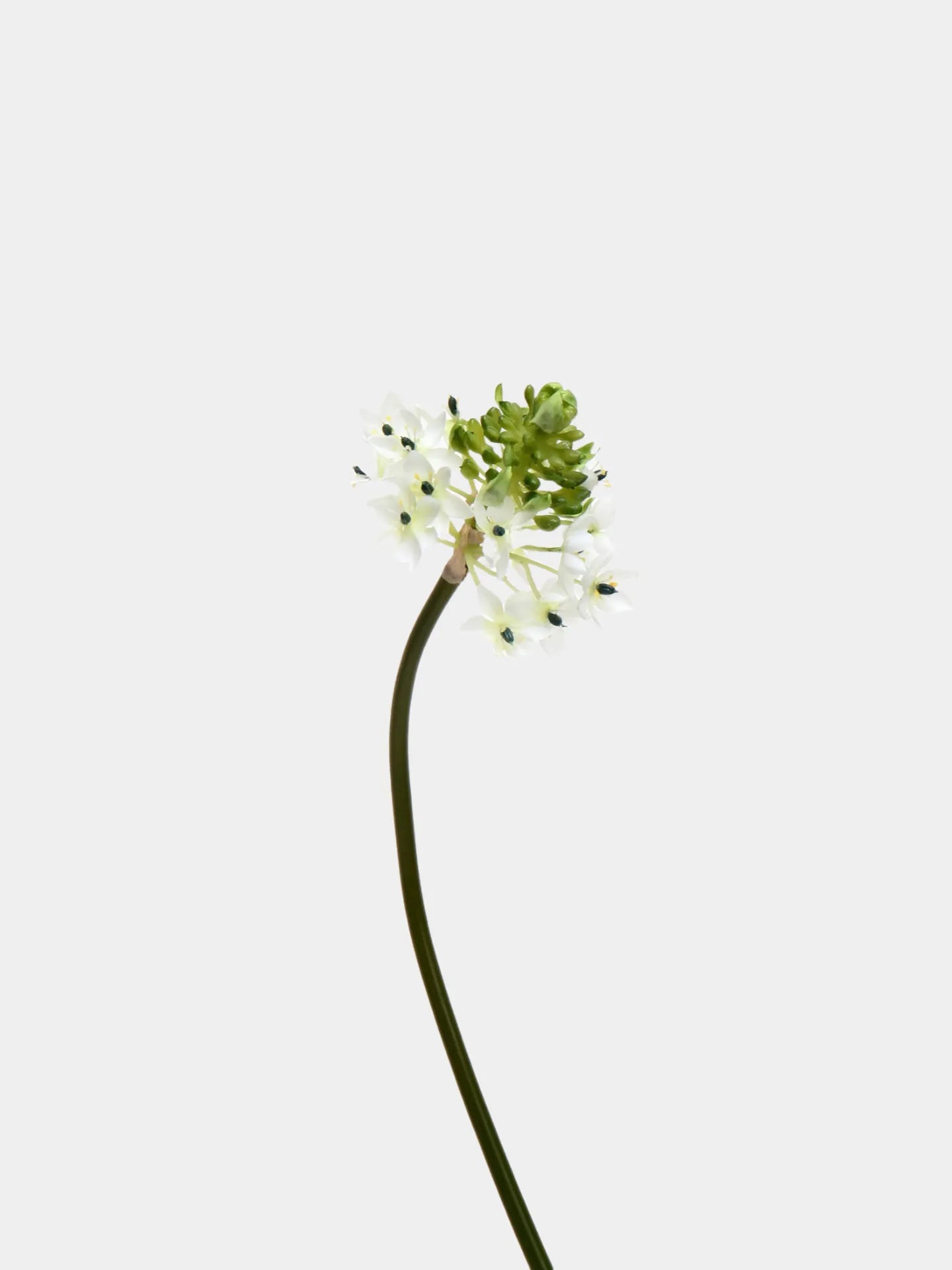 Künstliche Stern von Bethlehem Blume