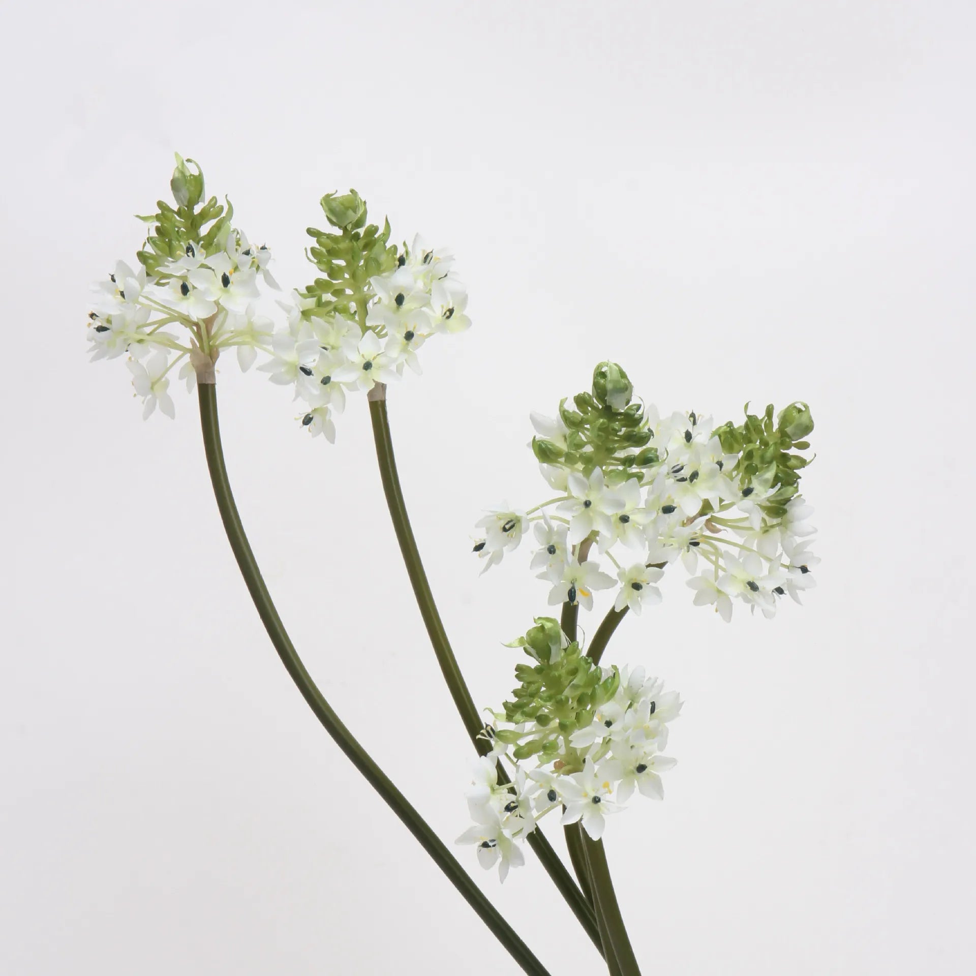 Artificial Star of Bethlehem Flower