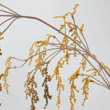 Artificial String of Pearls, Hanging Greenery -27"