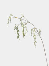 Artificial String of Pearls, Hanging Greenery -27"