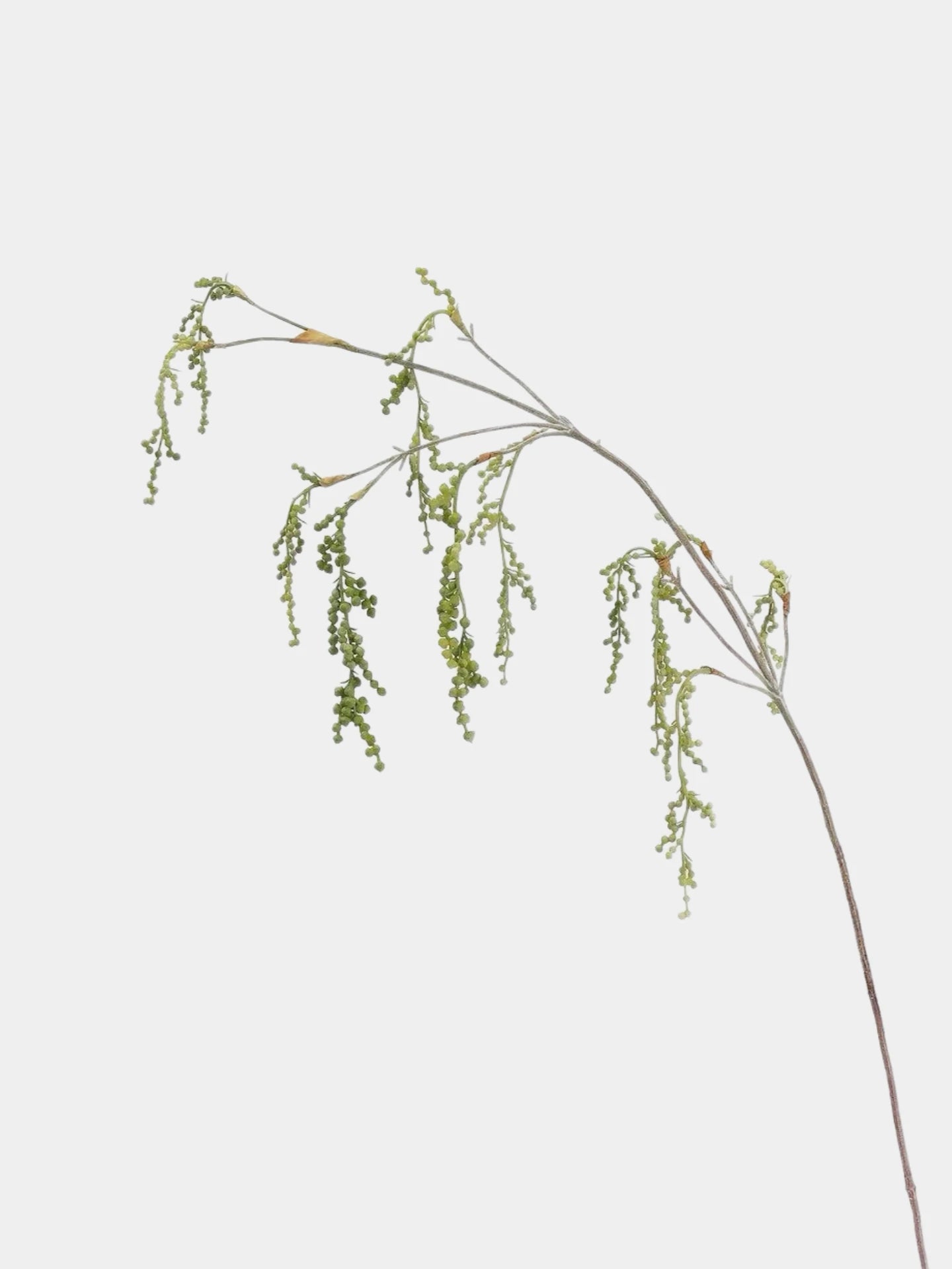 Artificial String of Pearls, Hanging Greenery -27"