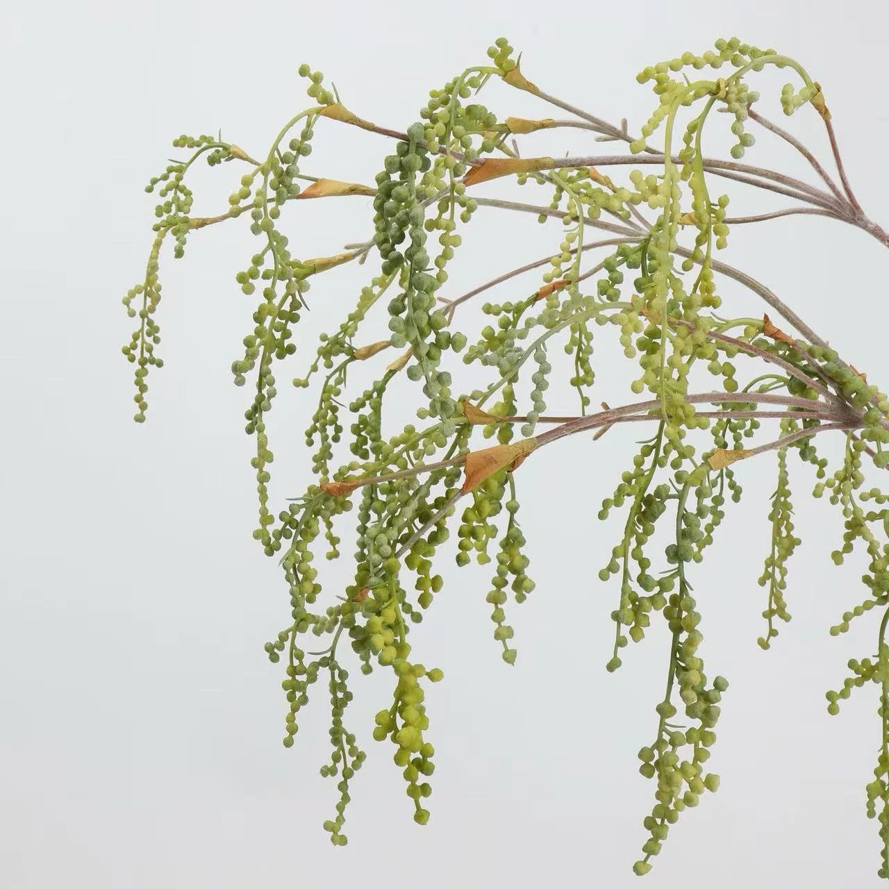 Artificial String of Pearls, Hanging Greenery -27"