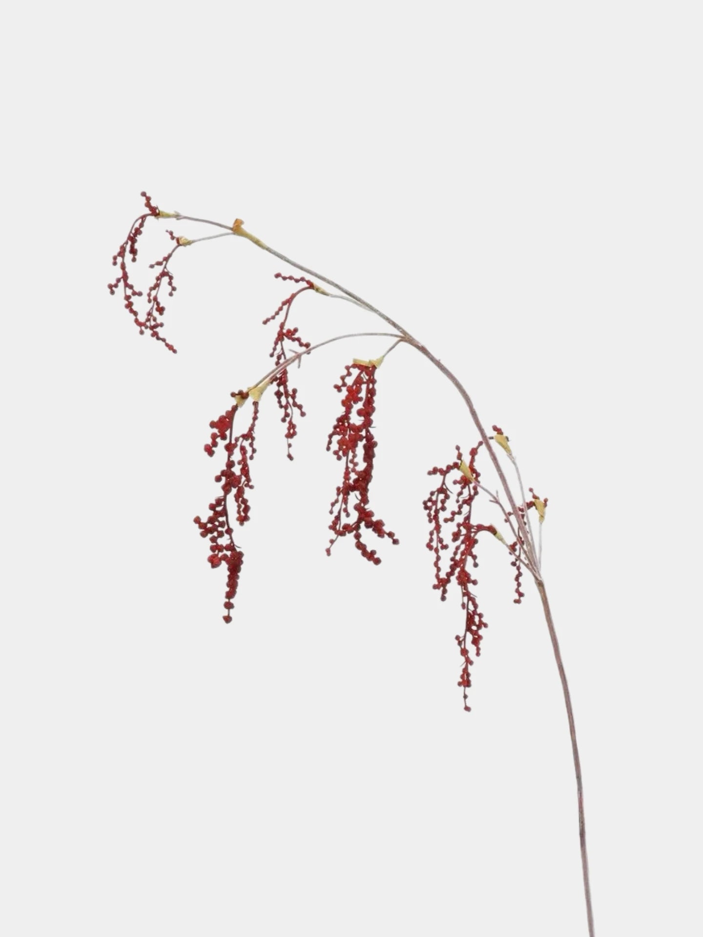 Artificial String of Pearls, Hanging Greenery -27"