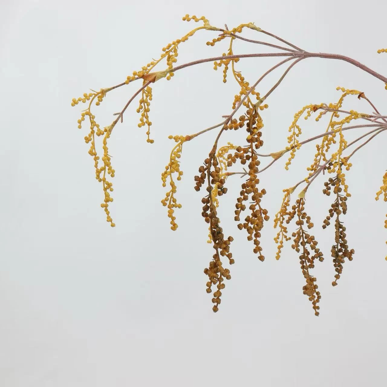 Artificial String of Pearls, Hanging Greenery -27"