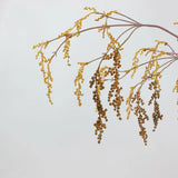 Artificial String of Pearls, Hanging Greenery -27"