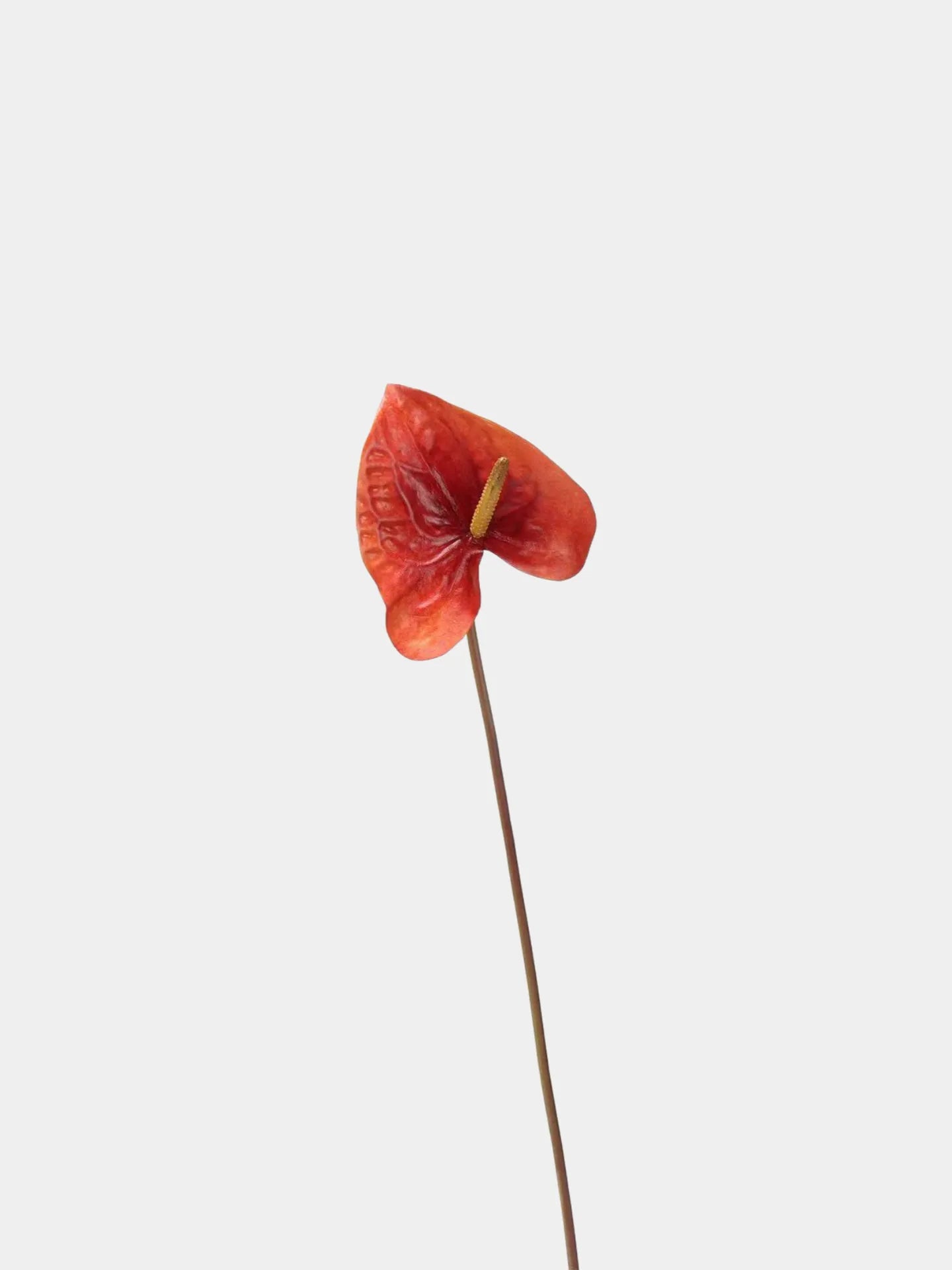 Artificial Anthurium Stem  -Red