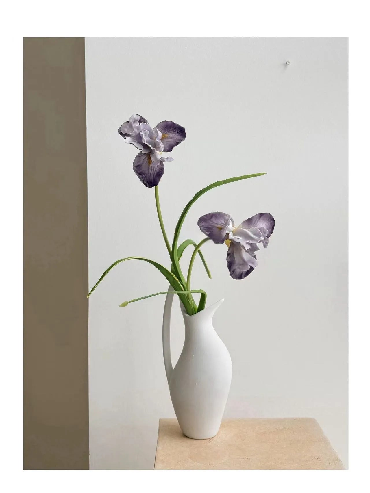 人工ひげアヤメの花