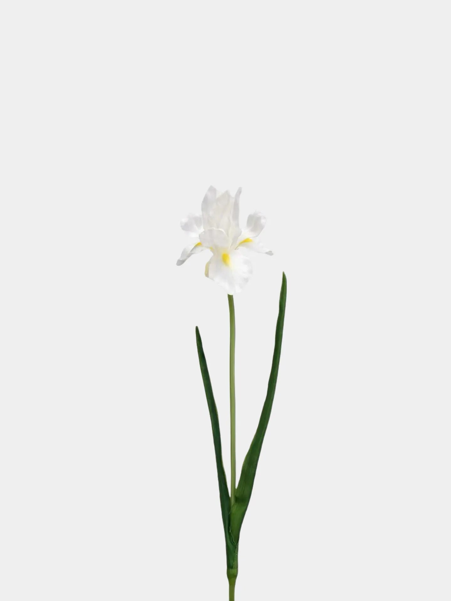 Artificial Bearded Iris Flower