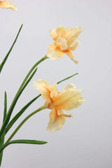 人工ひげアヤメの花